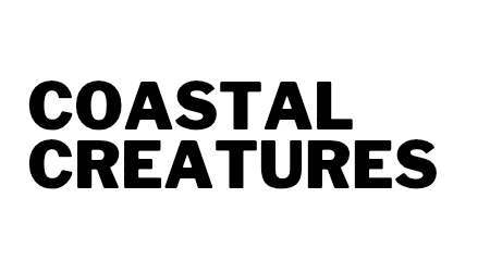 Coastal Creatures 