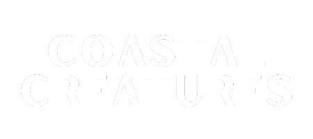 Coastal Creatures 